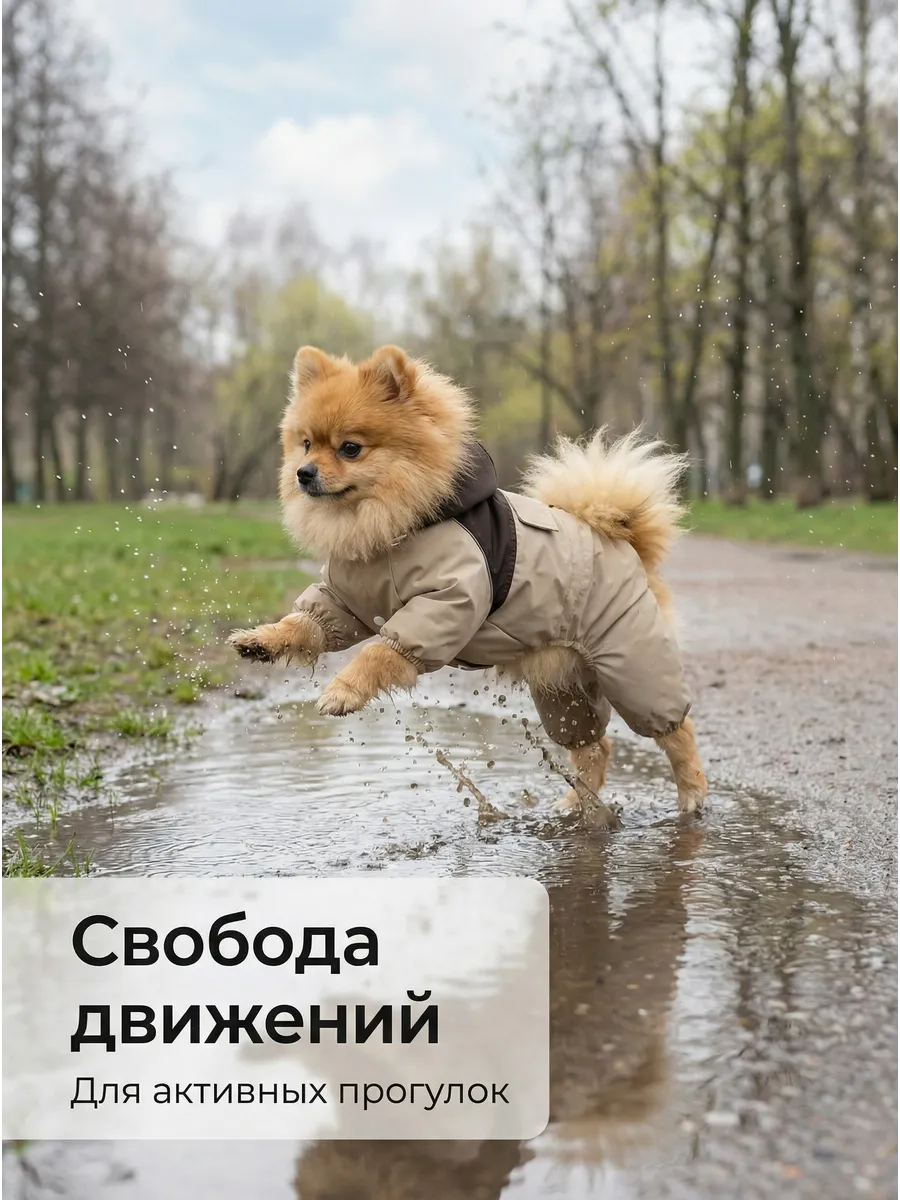 Дождевик для собак мелких пород