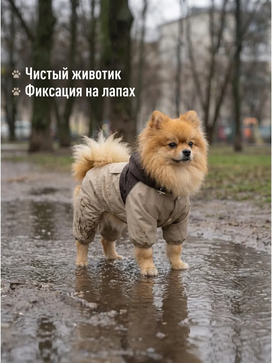 Дождевик для собак мелких пород