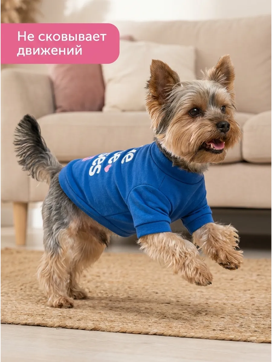 Летняя футболка для собак мелких пород