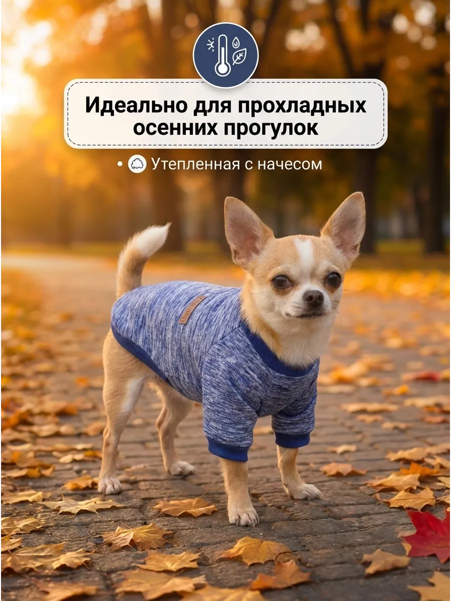 Толстовка для собак мелких пород