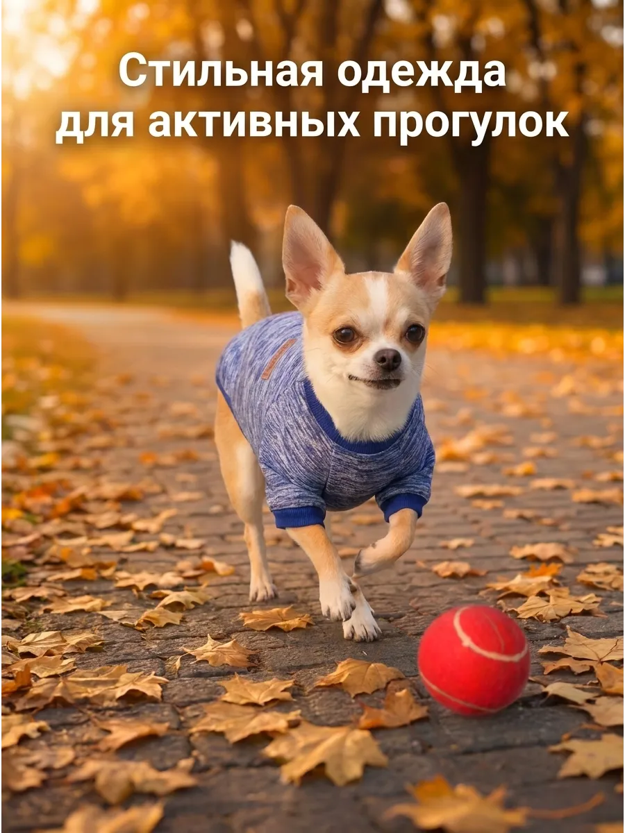 Толстовка для собак мелких пород